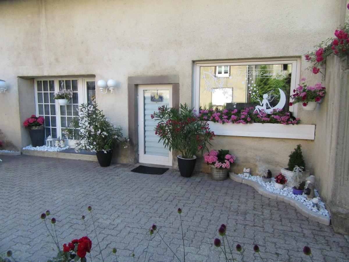 La Belle Endormie - Appartement A Fenetrange Exterior photo